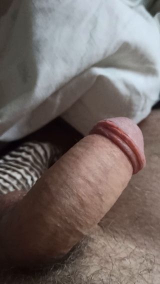 VID_20221216_101211.mp4