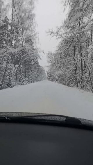 VID_20221217_144143159.mp4