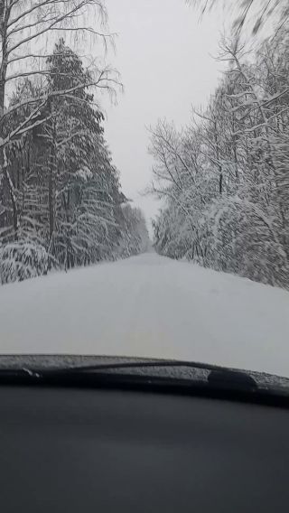 VID_20221217_144143159.mp4
