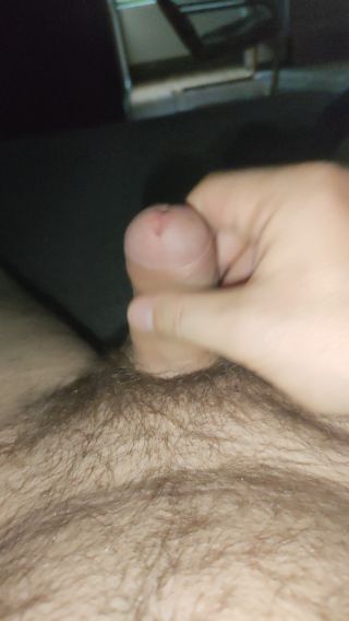 mlody354