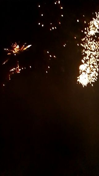 VID_20230101_000803.mp4
