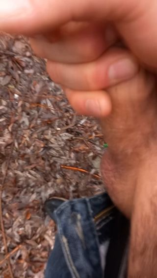 20230104_115605.mp4