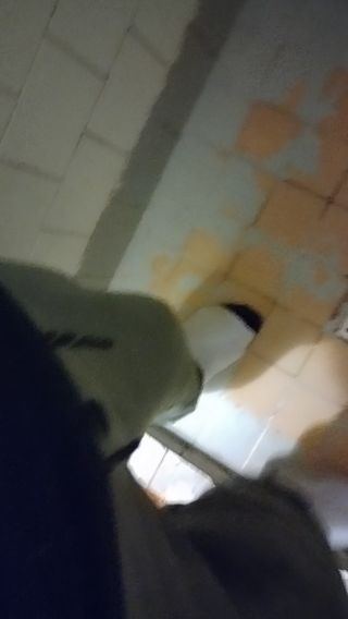 1Tauruss