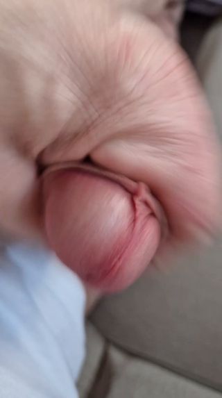 VID-20230117-WA0014.mp4