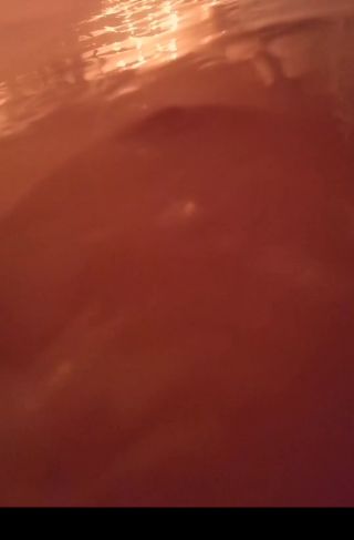 Jaamajkaa