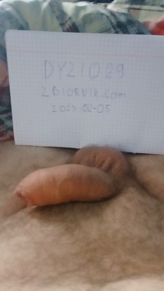Dyzio29
