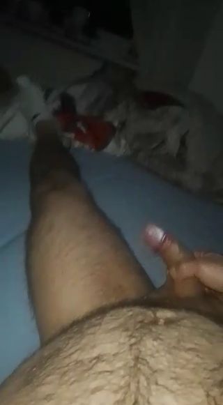 VID-20230101-WA0018.mp4