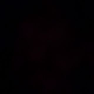 20230213_005529.mp4