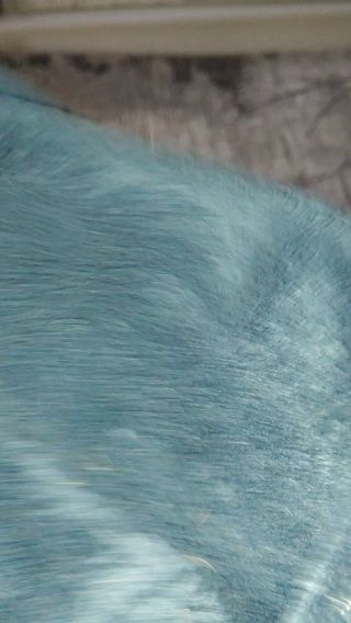 20230225_075609.mp4