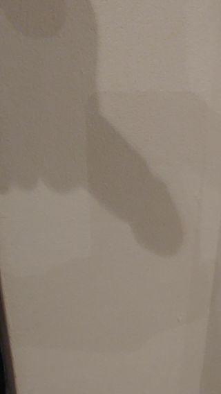 20230226_191039.mp4