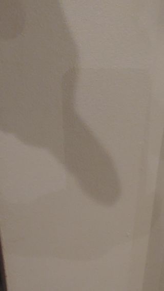 20230226_191039.mp4