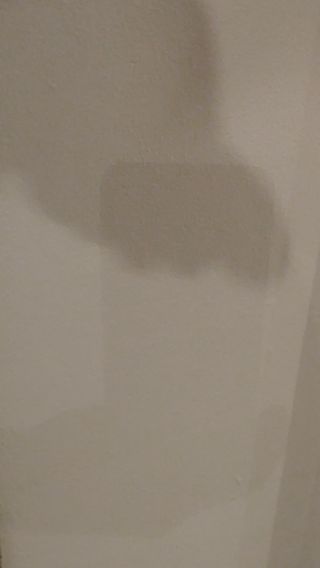 20230226_191055.mp4