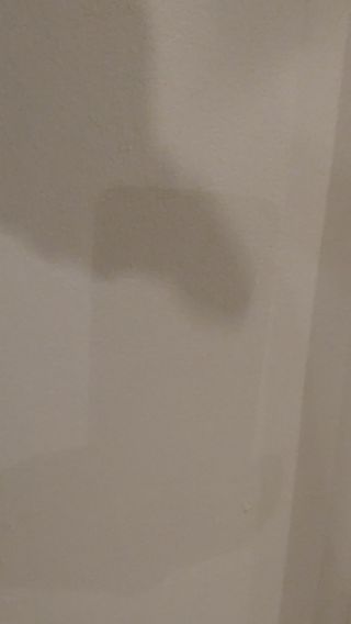 20230226_191055.mp4