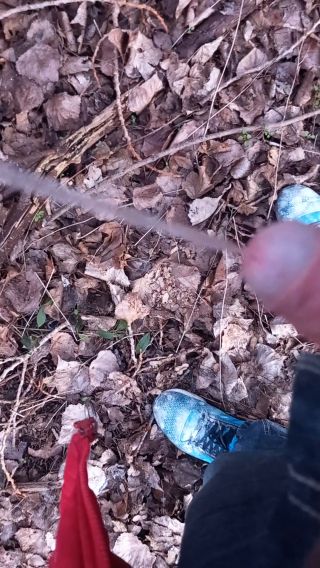 20230226_180420.mp4