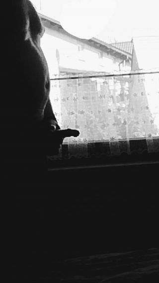 VID_20230228_124418~2.mp4