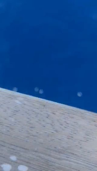 VID-20230317-WA0000.mp4