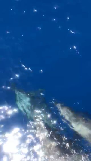 VID-20230317-WA0000.mp4