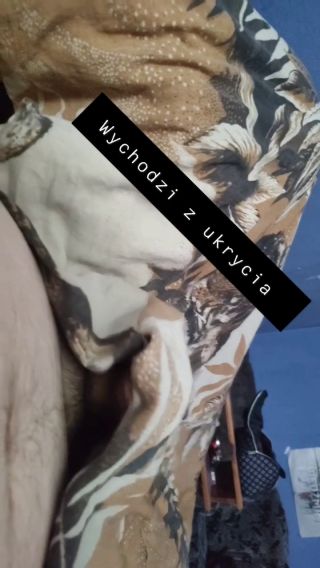 Yogurcikoo