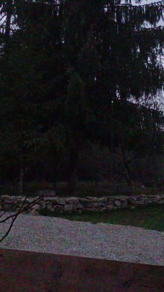 VID_20230324_181054199.mp4