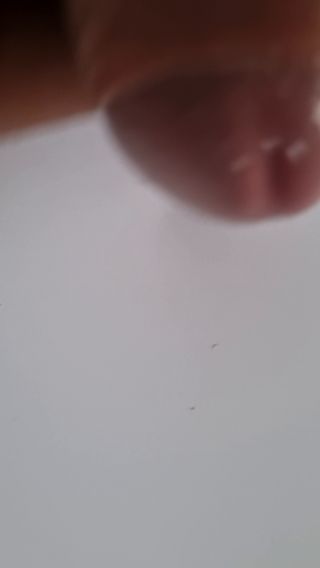 20230325_092849.mp4