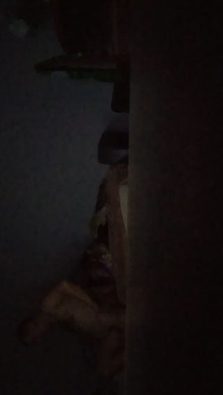 20230311_232634.mp4