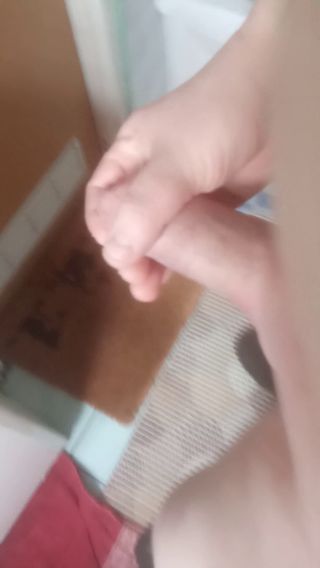 penisek85