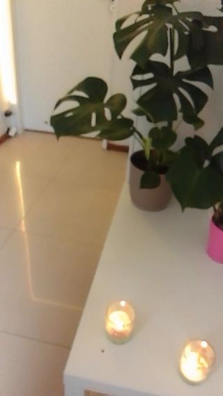 VID_20230428_125541.mp4