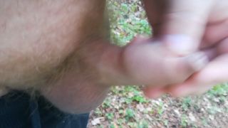 VID_20230430_122227.mp4