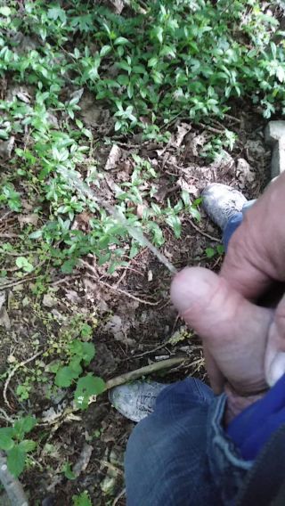 VID_20230519_202701.mp4