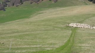 DSCN4790.MP4  Sielanka