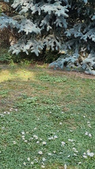 20230609_173134.mp4