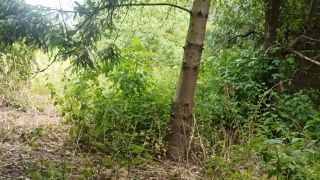 VID_20230617_125613.mp4