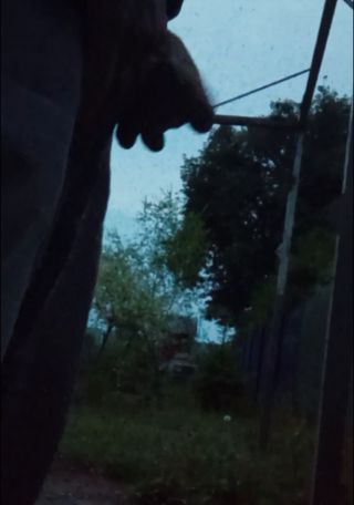 VID_20230621_213819~3.mp4