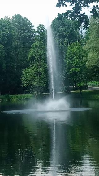 VID_20230624_153909.mp4