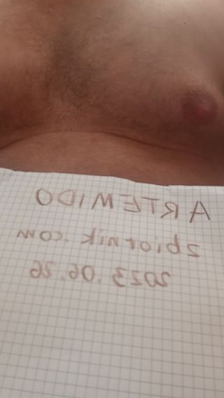 ARTEMIDO