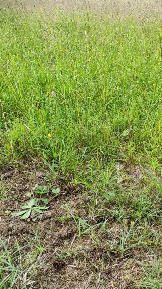 VID_20230701_162538.mp4