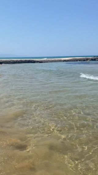 andonis