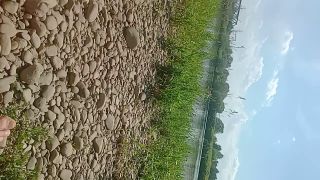 VID_20230705_145309.mp4