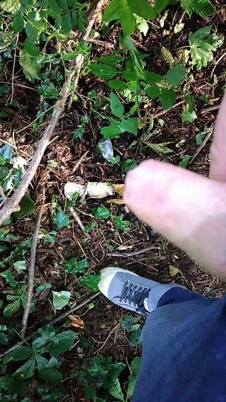 VID_20230705_202130.mp4