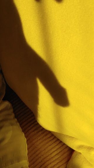 20230709_062700.mp4