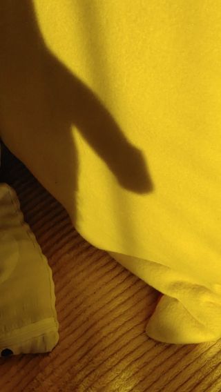 20230709_062700.mp4