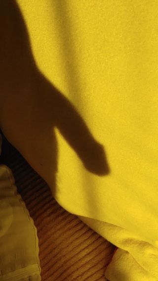 20230709_062700(1).mp4