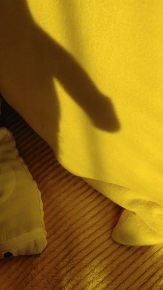 20230709_062700(1).mp4