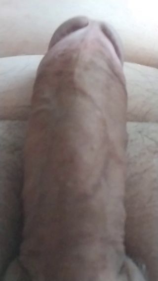 misioBI