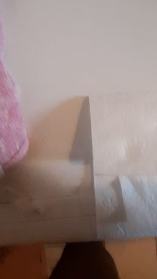 20230731_171935.mp4