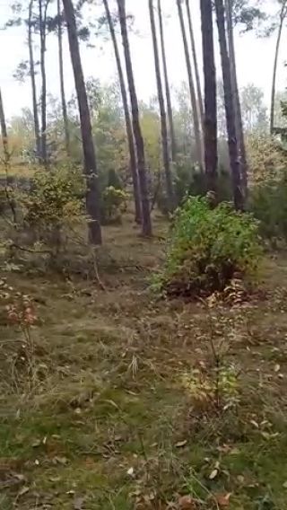 7d6d8efd8c2ad606d14dddef200ff1e8 (1).mp4