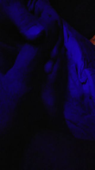 VID_20230803_234446.mp4