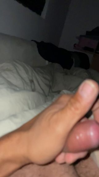 Michal100778