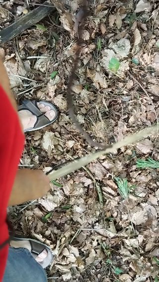VID_20230816_173229.mp4