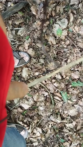 VID_20230816_173229.mp4